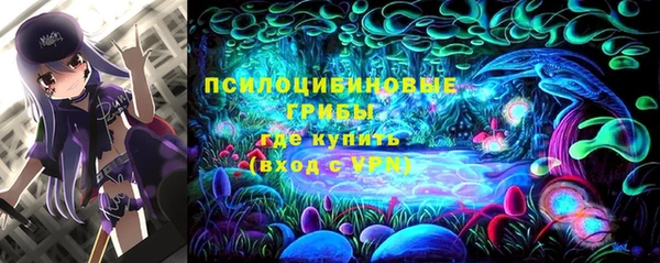 МДПВ Алзамай