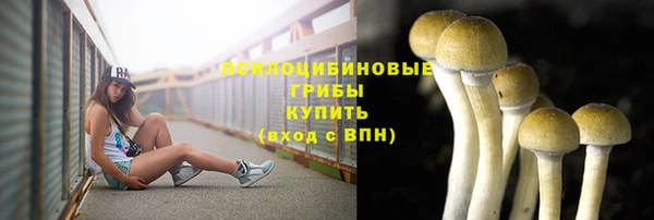 МДПВ Алзамай