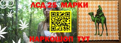 эйфоретик Краснодар