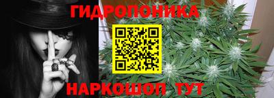 прущие крисы Краснознаменск