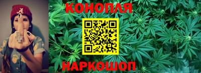прущие крисы Краснознаменск