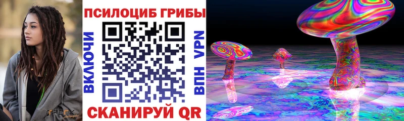 Галлюциногенные грибы Psilocybe  где купить наркоту  Кольчугино 