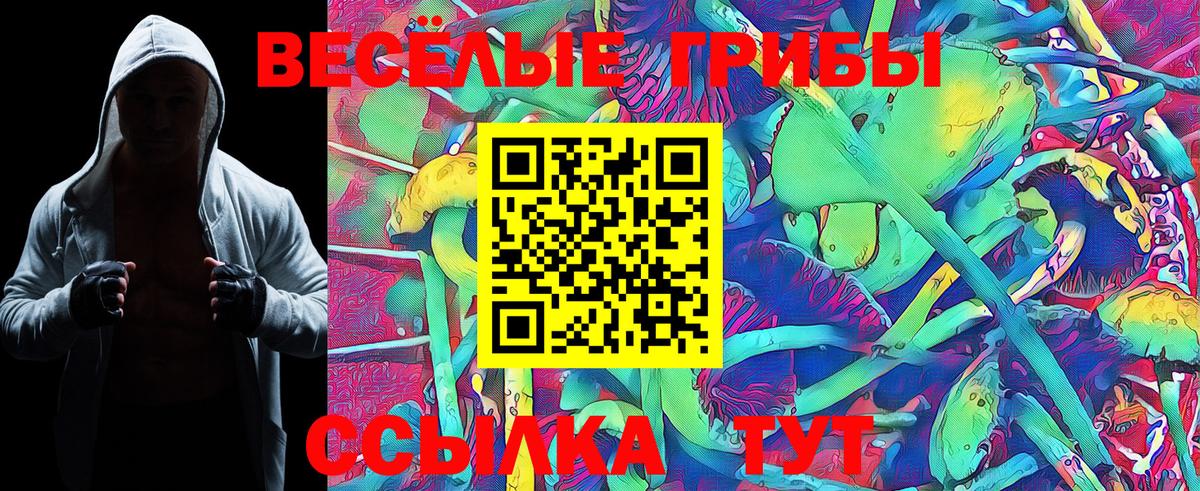 Псилоцибиновые грибы GOLDEN TEACHER Кольчугино